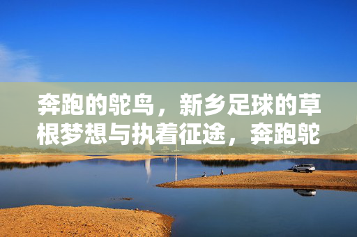奔跑的鸵鸟，新乡足球的草根梦想与执着征途，奔跑鸵鸟，新乡足球的草根梦想征途