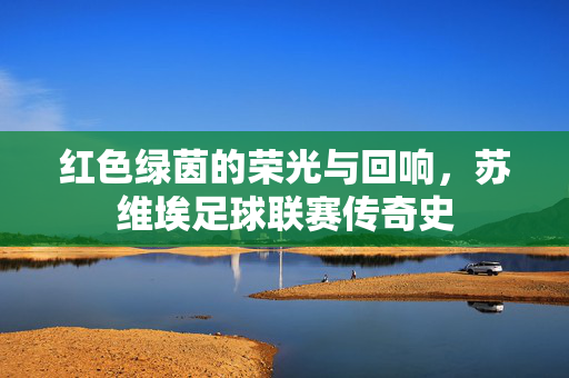 红色绿茵的荣光与回响，苏维埃足球联赛传奇史