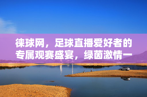 徕球网，足球直播爱好者的专属观赛盛宴，绿茵激情一键触达，徕球网，足球直播爱好者专属绿茵激情盛宴