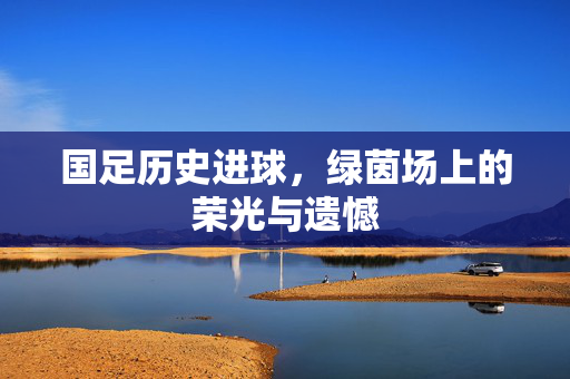 国足历史进球，绿茵场上的荣光与遗憾