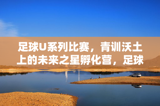 足球U系列比赛，青训沃土上的未来之星孵化营，足球U系列赛事，青训沃土的未来之星孵化营