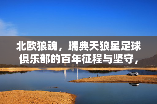 北欧狼魂，瑞典天狼星足球俱乐部的百年征程与坚守，北欧狼魂，天狼星百年征程与坚守