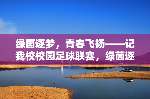 绿茵逐梦，青春飞扬——记我校校园足球联赛，绿茵逐梦，青春飞扬——校园足球联赛
