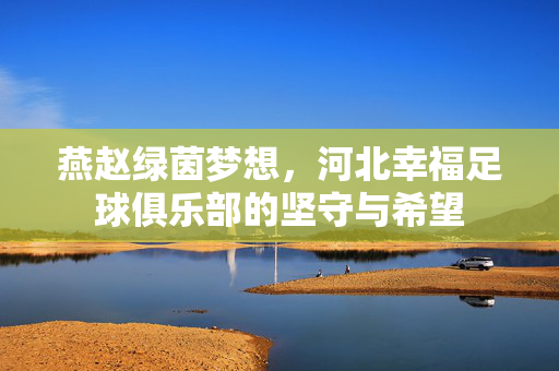 燕赵绿茵梦想，河北幸福足球俱乐部的坚守与希望