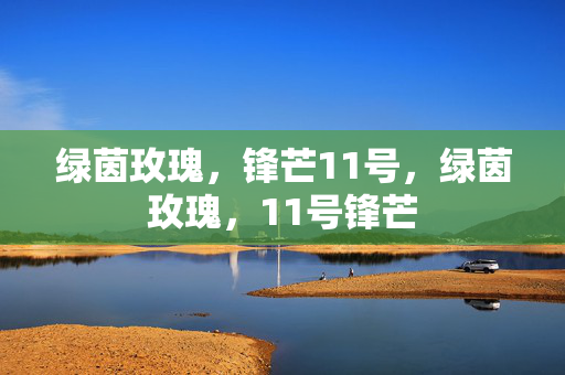绿茵玫瑰，锋芒11号，绿茵玫瑰，11号锋芒