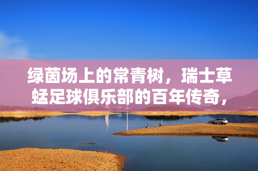 绿茵场上的常青树，瑞士草蜢足球俱乐部的百年传奇，瑞士草蜢，绿茵场上的百年常青树传奇