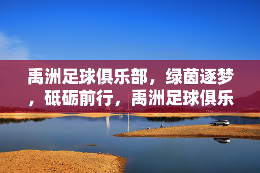 禹洲足球俱乐部，绿茵逐梦，砥砺前行，禹洲足球俱乐部，绿茵逐梦，砥砺前行