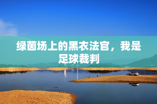 绿茵场上的黑衣法官，我是足球裁判