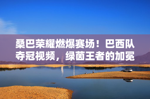 桑巴荣耀燃爆赛场！巴西队夺冠视频，绿茵王者的加冕时刻，桑巴荣耀燃爆！巴西队绿茵王者加冕时刻