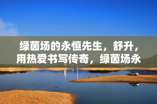 绿茵场的永恒先生，舒升，用热爱书写传奇，绿茵场永恒先生舒升，热爱书写传奇