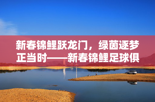 新春锦鲤跃龙门，绿茵逐梦正当时——新春锦鲤足球俱乐部的新年故事，新春锦鲤跃龙门，绿茵逐梦启新程