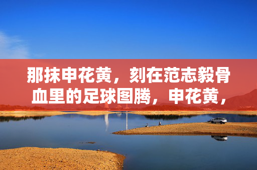 那抹申花黄，刻在范志毅骨血里的足球图腾，申花黄，刻在范志毅骨血里的足球图腾