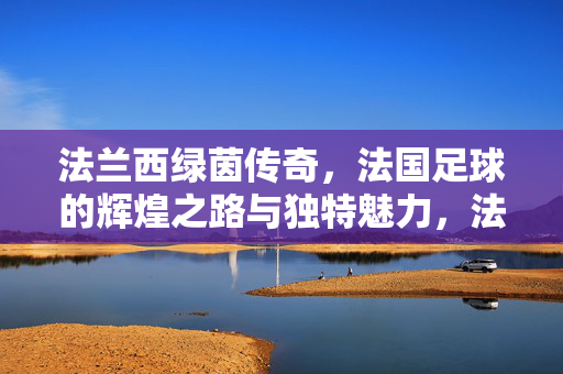 法兰西绿茵传奇，法国足球的辉煌之路与独特魅力，法兰西绿茵传奇，辉煌之路与独特魅力