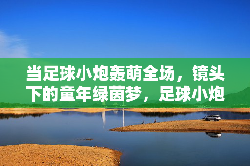 当足球小炮轰萌全场，镜头下的童年绿茵梦，足球小炮，镜头下的童年绿茵萌梦