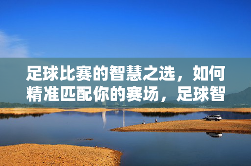 足球比赛的智慧之选，如何精准匹配你的赛场，足球智慧之选，精准匹配赛场