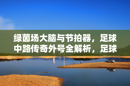 绿茵场大脑与节拍器，足球中路传奇外号全解析，足球中路传奇外号全解析，绿茵场大脑与节拍器