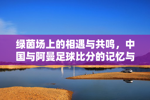 绿茵场上的相遇与共鸣，中国与阿曼足球比分的记忆与启示，中国与阿曼足球比分，绿茵相遇的记忆与启示