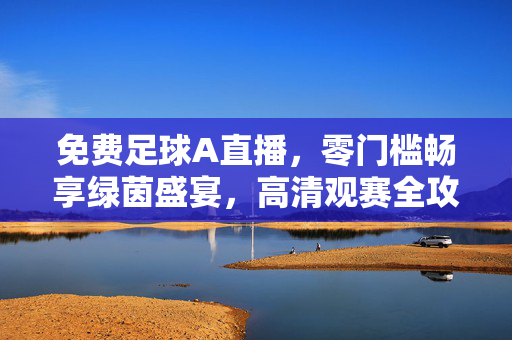 免费足球A直播，零门槛畅享绿茵盛宴，高清观赛全攻略，免费足球A直播，零门槛畅享高清绿茵盛宴全攻略