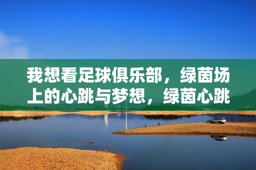 我想看足球俱乐部，绿茵场上的心跳与梦想，绿茵心跳，足球俱乐部的梦想征途