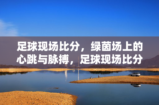 足球现场比分，绿茵场上的心跳与脉搏，足球现场比分，绿茵场上的心跳与脉搏