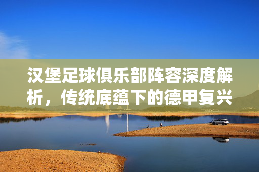 汉堡足球俱乐部阵容深度解析，传统底蕴下的德甲复兴之路，汉堡阵容深度解析，传统底蕴下的德甲复兴之路