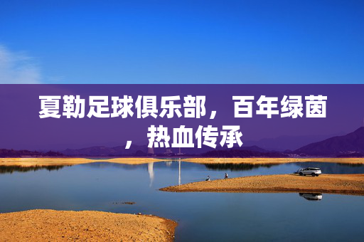 夏勒足球俱乐部,百年绿茵,热血传承