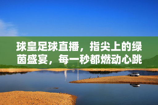 球皇足球直播,指尖上的绿茵盛宴,每一秒都燃动心跳,指尖上的绿茵盛宴