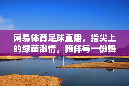网易体育足球直播,指尖上的绿茵激情,陪伴每一份热爱,网易体育足球直播,指尖绿茵,热爱随行