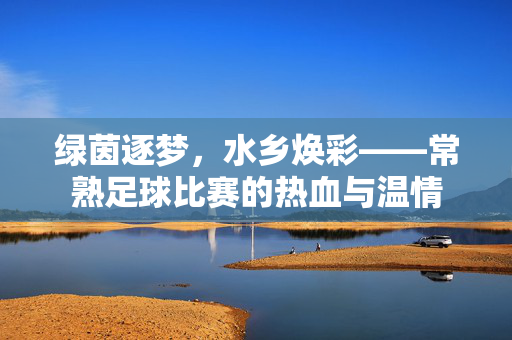 绿茵逐梦，水乡焕彩——常熟足球比赛的热血与温情