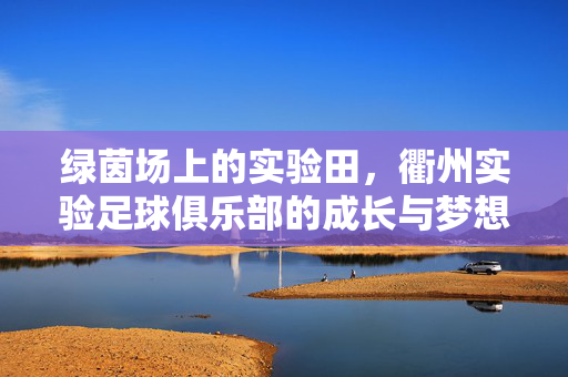 绿茵场上的实验田，衢州实验足球俱乐部的成长与梦想，绿茵实验田，衢州实验足球俱乐部的成长与梦想