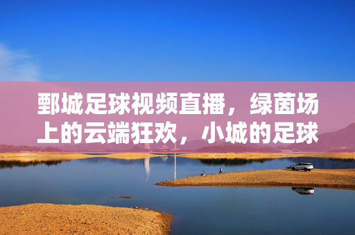 鄄城足球视频直播,绿茵场上的云端狂欢,小城的足球梦触手可及