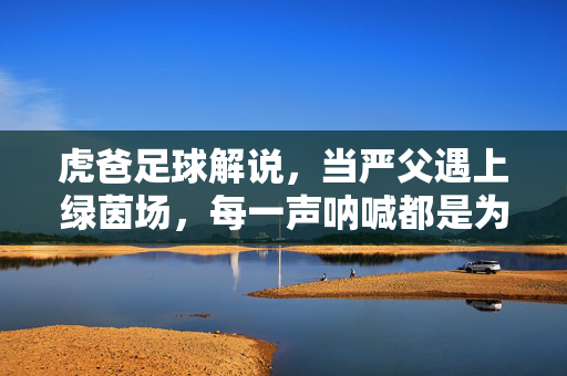 虎爸足球解说，当严父遇上绿茵场，每一声呐喊都是为你好，虎爸足球解说，绿茵场上的严父呐喊