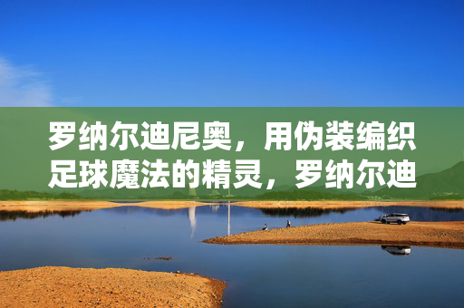 罗纳尔迪尼奥，用伪装编织足球魔法的精灵，罗纳尔迪尼奥，伪装编织足球魔法的精灵