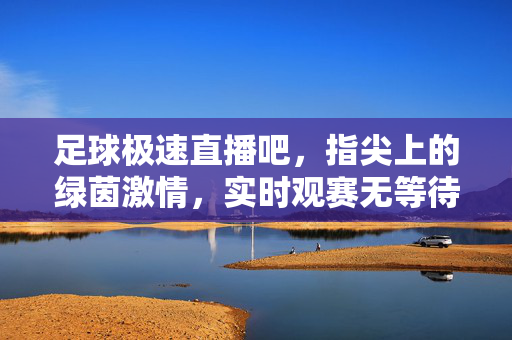 足球极速直播吧，指尖上的绿茵激情，实时观赛无等待，指尖极速绿茵直播，实时观赛无等待