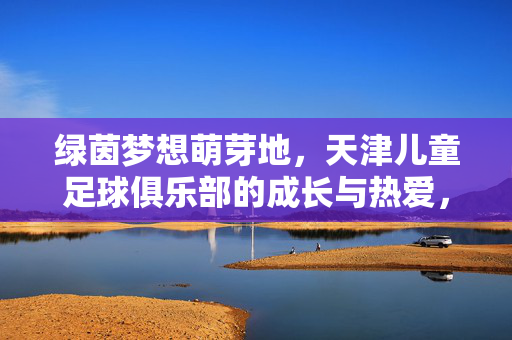 绿茵梦想萌芽地，天津儿童足球俱乐部的成长与热爱，天津儿童足球俱乐部，绿茵萌芽，热爱成长