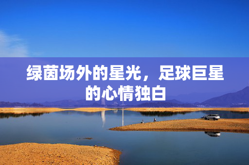 绿茵场外的星光，足球巨星的心情独白