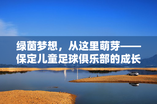绿茵梦想，从这里萌芽——保定儿童足球俱乐部的成长印记，萌芽绿茵梦，保定儿童足球俱乐部的成长印记