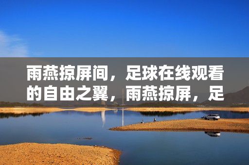 雨燕掠屏间，足球在线观看的自由之翼，雨燕掠屏，足球在线自由之翼