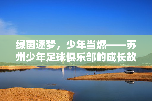 绿茵逐梦，少年当燃——苏州少年足球俱乐部的成长故事，绿茵逐梦，少年当燃——苏州少年足球俱乐部的成长故事