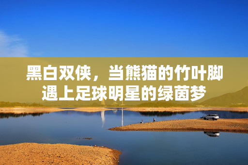 黑白双侠，当熊猫的竹叶脚遇上足球明星的绿茵梦