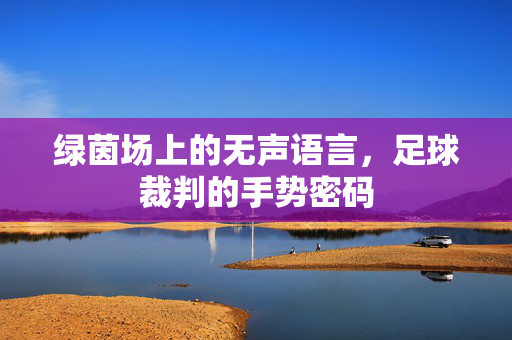 绿茵场上的无声语言，足球裁判的手势密码