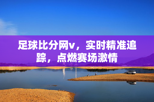 足球比分网v，实时精准追踪，点燃赛场激情