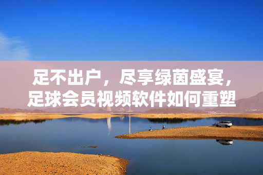 足不出户，尽享绿茵盛宴，足球会员视频软件如何重塑观赛体验？足不出户尽享绿茵盛宴，足球会员视频软件重塑观赛体验