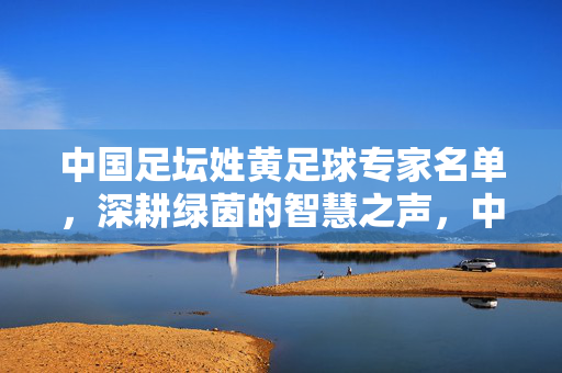 中国足坛姓黄足球专家名单，深耕绿茵的智慧之声，中国足坛姓黄专家，深耕绿茵的智慧之声