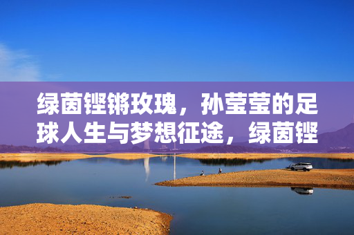 绿茵铿锵玫瑰，孙莹莹的足球人生与梦想征途，绿茵铿锵玫瑰孙莹莹，足球人生与梦想征途