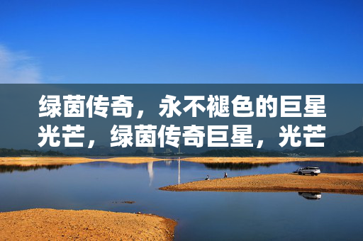 绿茵传奇，永不褪色的巨星光芒，绿茵传奇巨星，光芒永不褪色