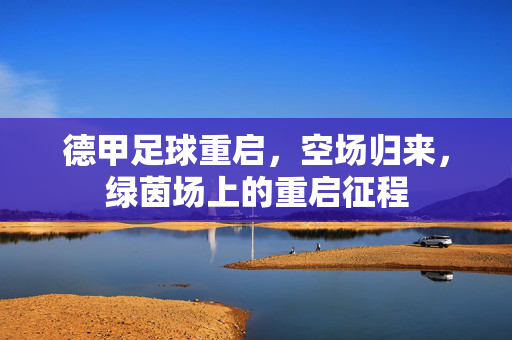 德甲足球重启,空场归来,绿茵场上的重启征程