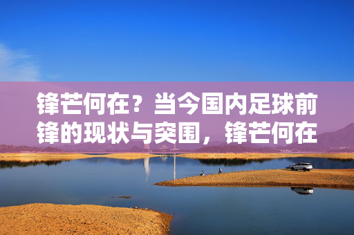锋芒何在？当今国内足球前锋的现状与突围，锋芒何在？国内足球前锋的现状与突围