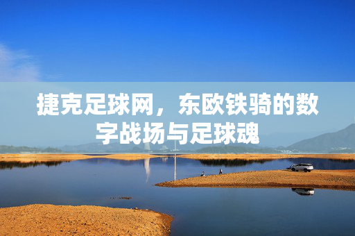 捷克足球网，东欧铁骑的数字战场与足球魂