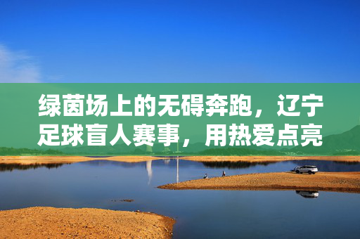 绿茵场上的无碍奔跑，辽宁足球盲人赛事，用热爱点亮生命之光，绿茵无碍，热爱点亮生命——辽宁盲人足球